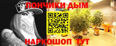 прущие крисы Краснознаменск