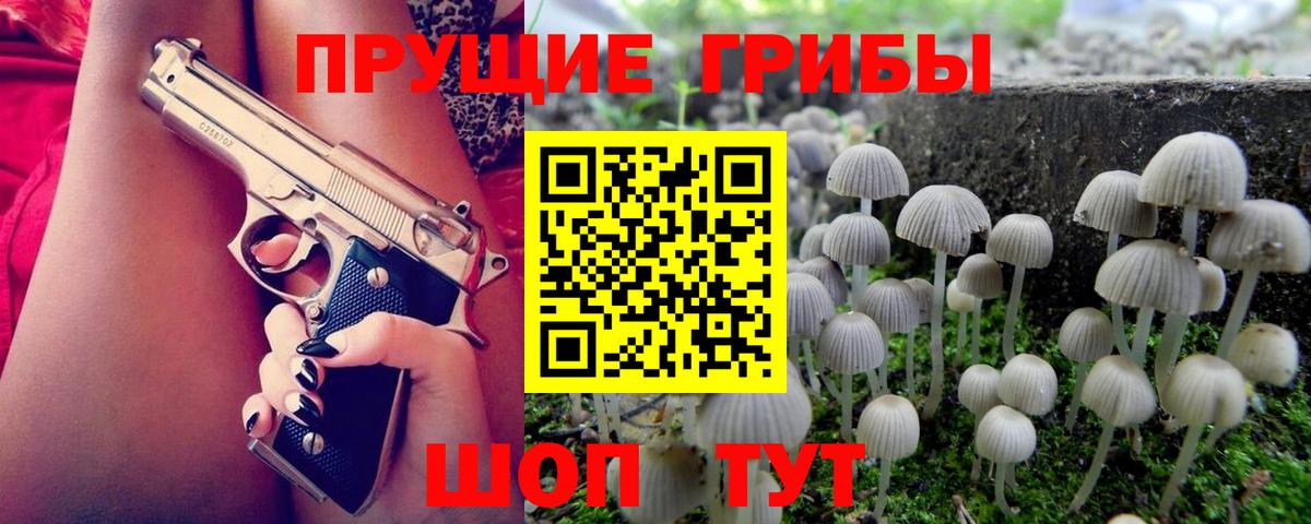 Галлюциногенные грибы Psilocybe  Вход с VPN  Касимов 